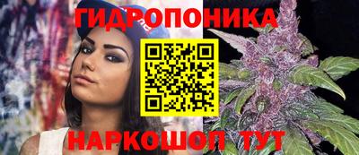 гидропоника Ипатово