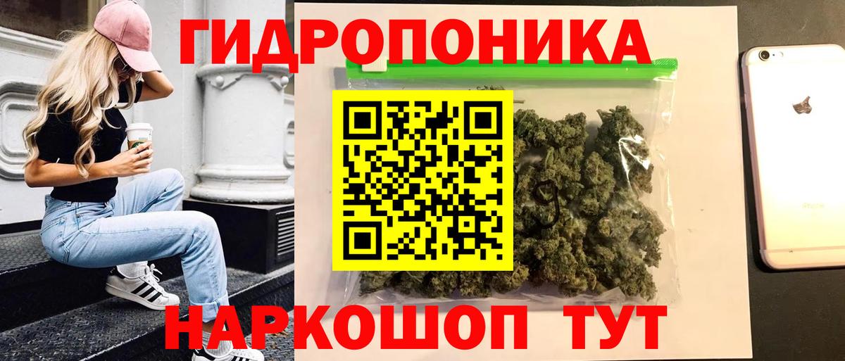 Шишки марихуана сатива Краснодар
